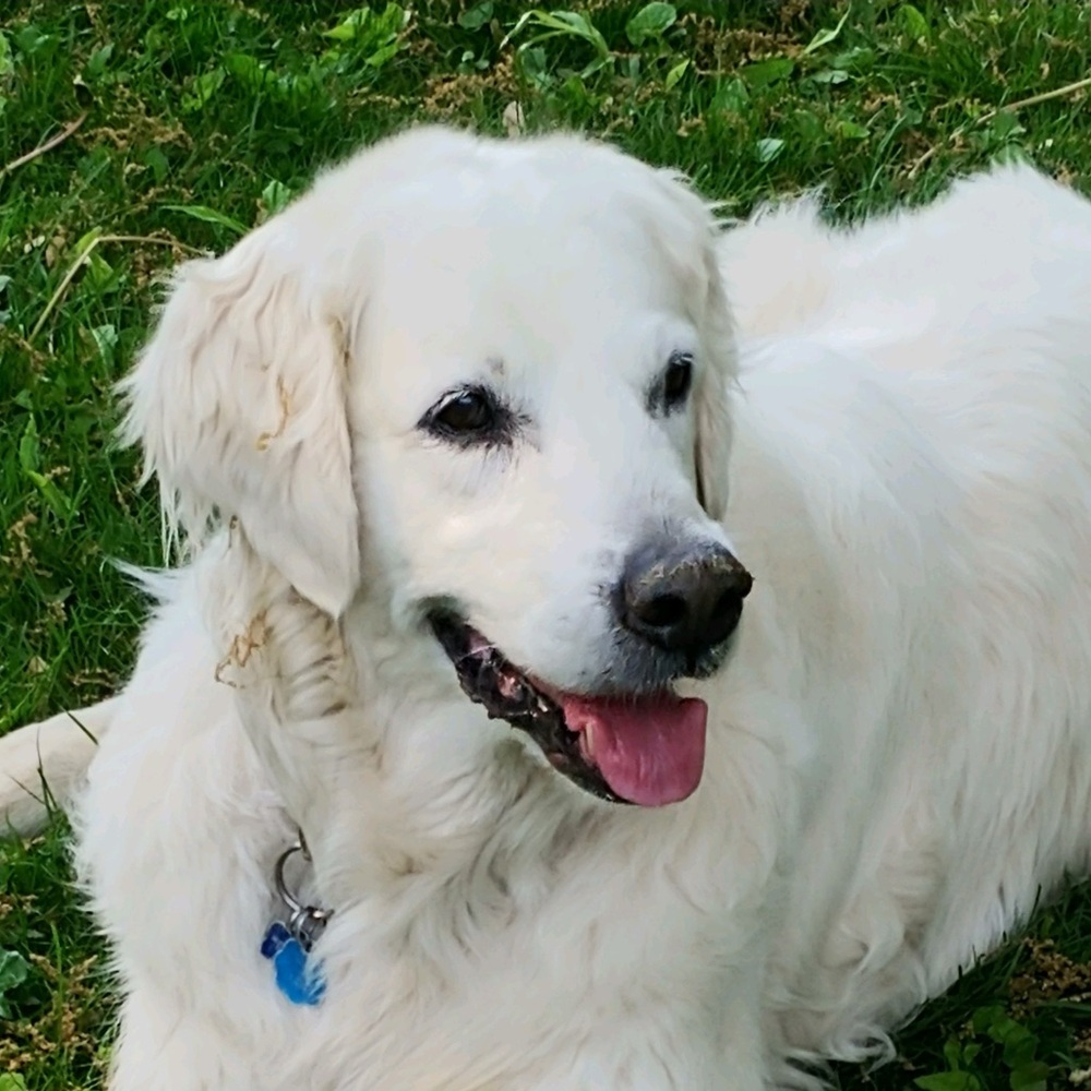 Meet your Posher, Janet